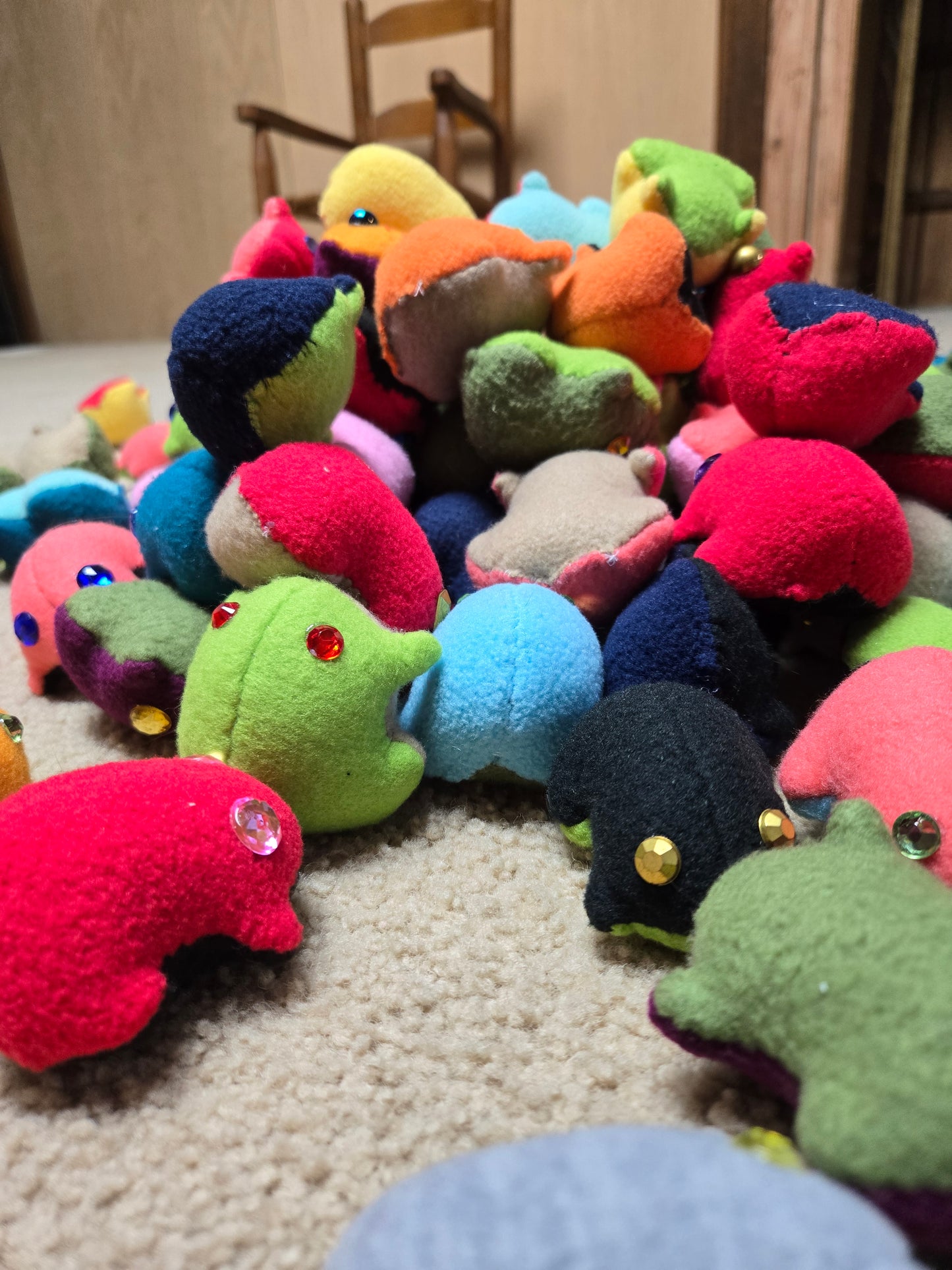 Gem Eyed Frogs
