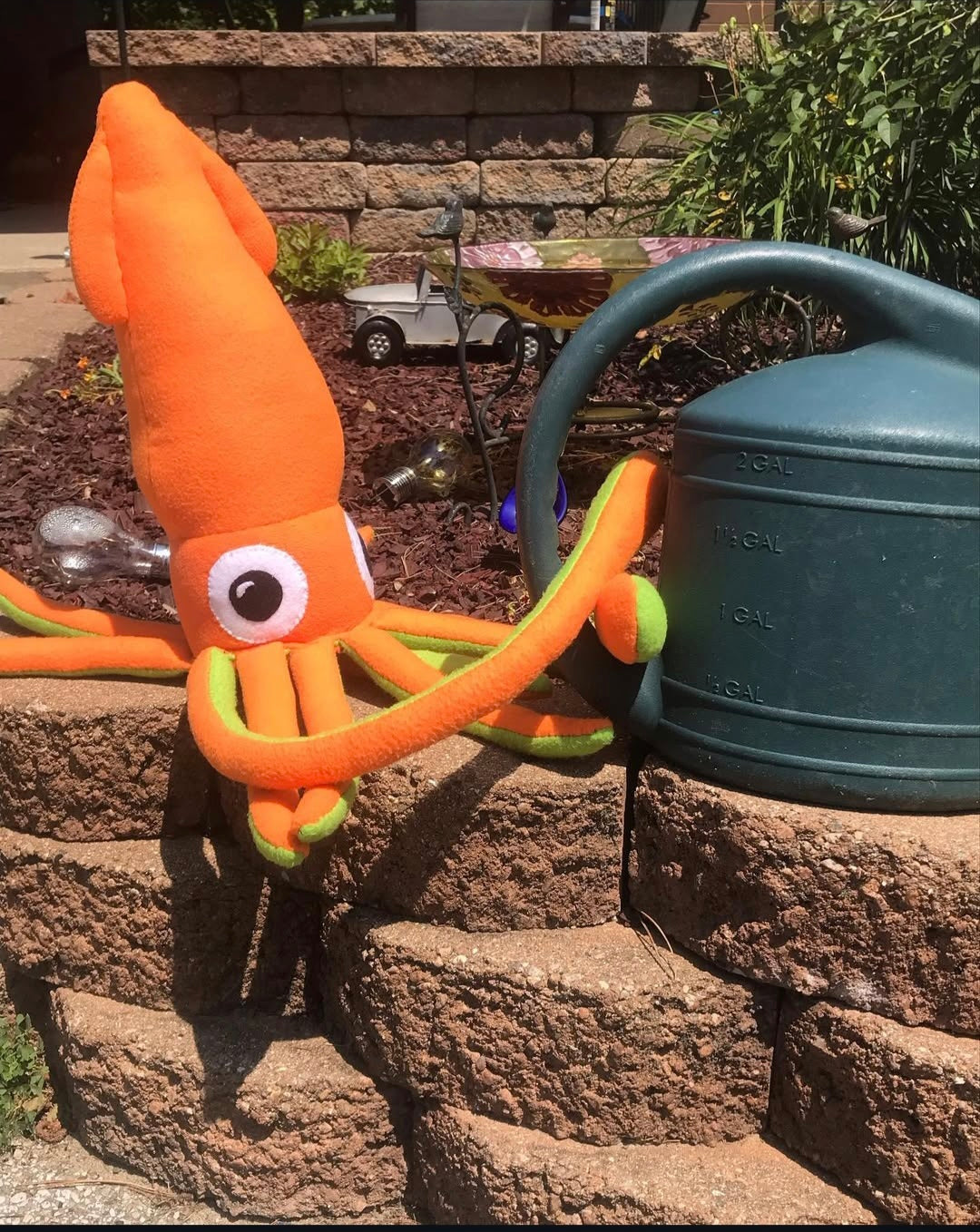 Mini Squids
